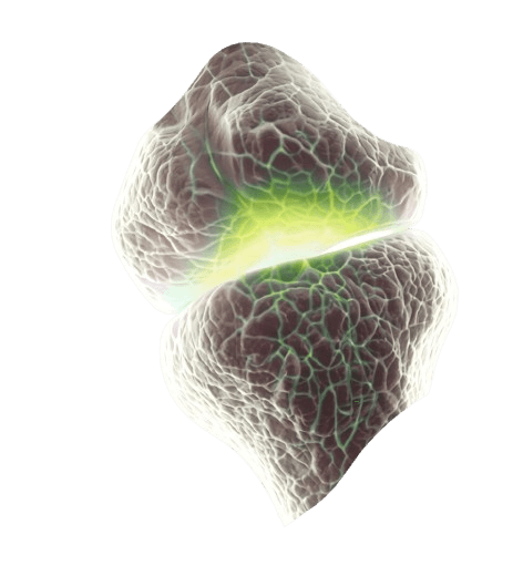 Bone health assessment